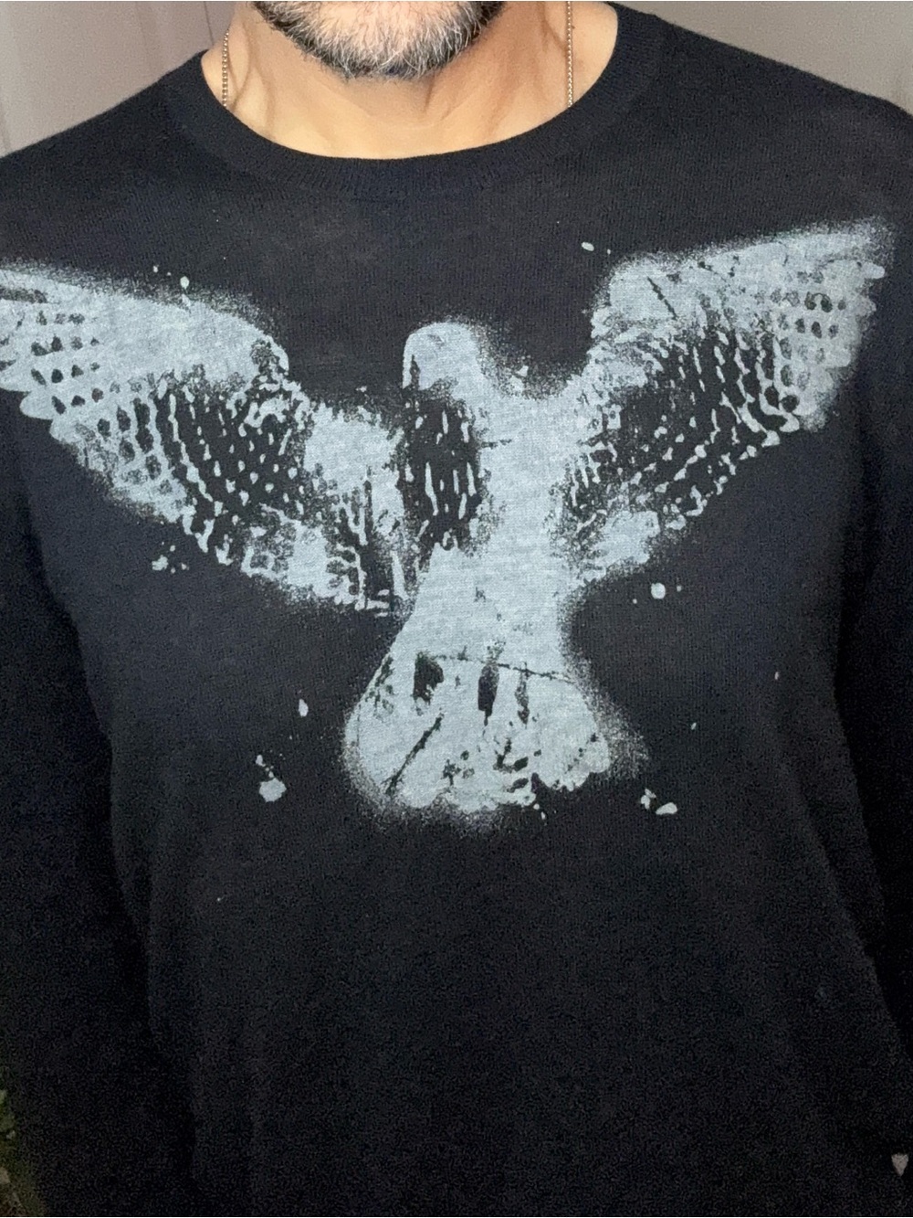 Vintage Early Aughts Banana Republic Graphic Sweater with Dove/Black See Thru - Picture 4 of 14